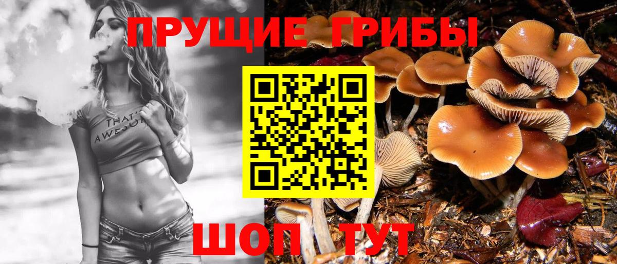 где купить наркоту  Галлюциногенные грибы ЛСД  Вход с VPN  Сланцы 
