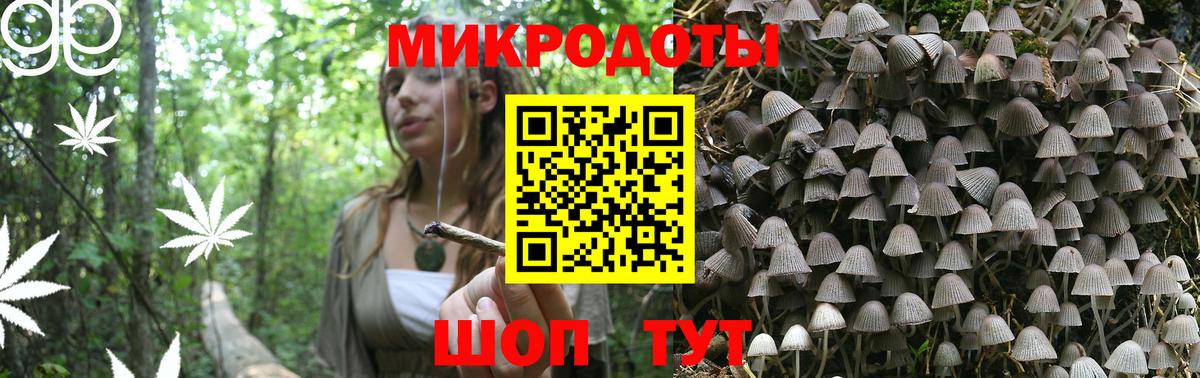 Галлюциногенные грибы Magic Shrooms Сланцы