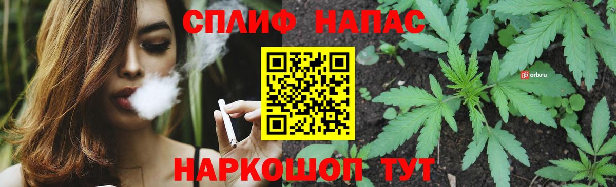 Шишки марихуана гибрид Сланцы